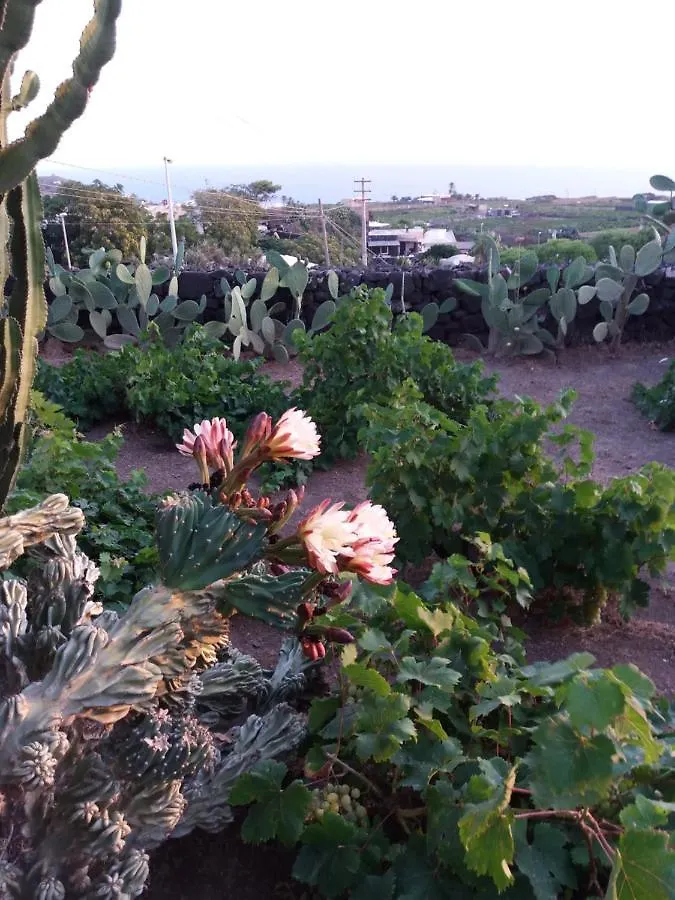 La Magnifica Villa Kamma Holiday home